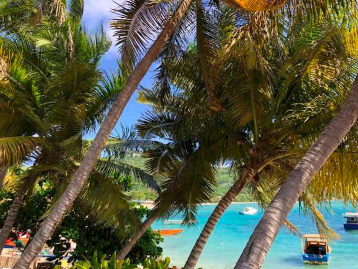 Bequia Beachfront Villa Hotel Friendship Eksteriør bilde