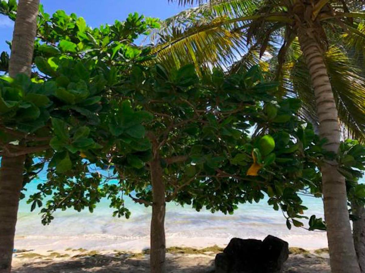 Bequia Beachfront Villa Hotel Friendship Eksteriør bilde