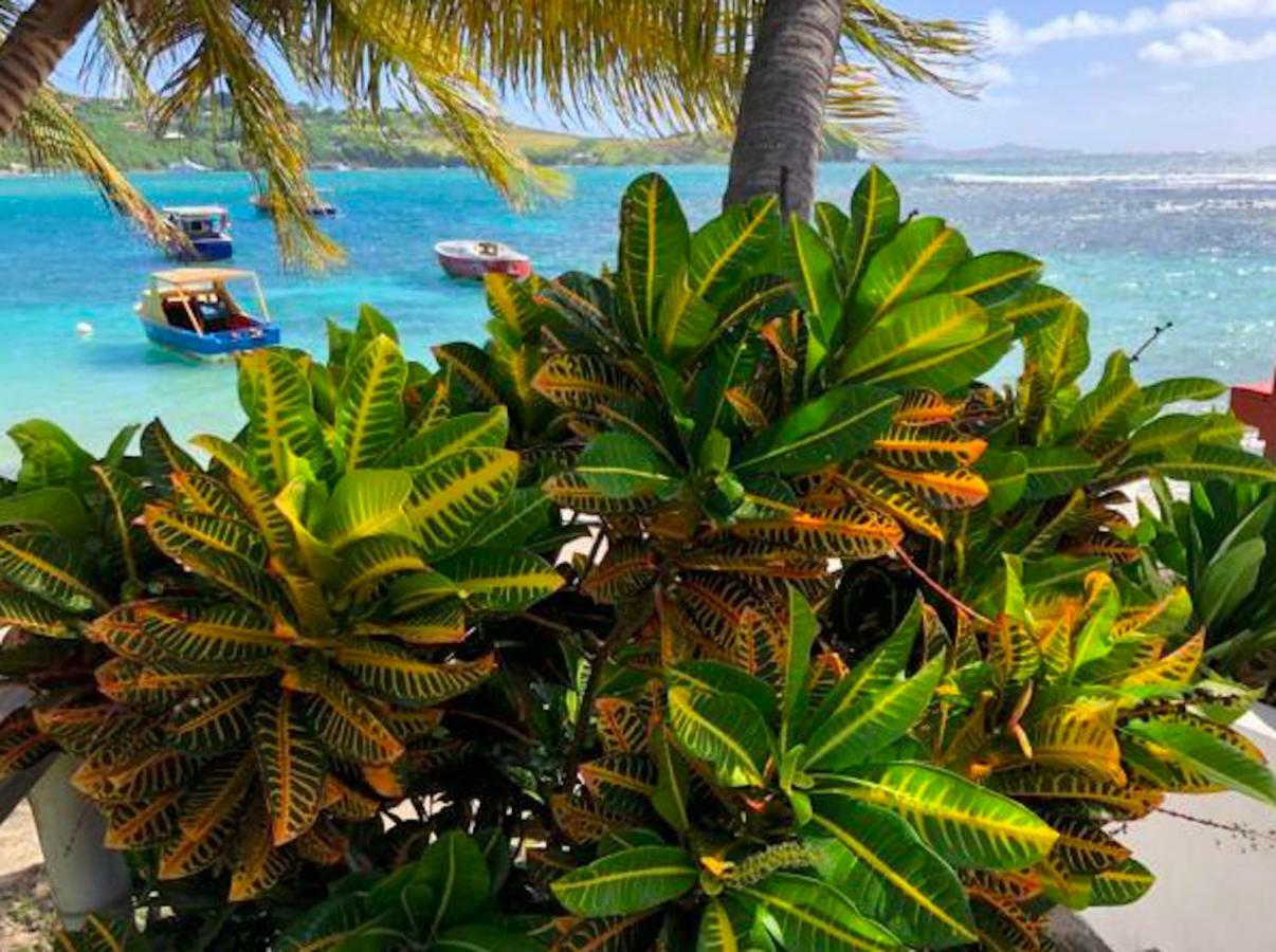 Bequia Beachfront Villa Hotel Friendship Eksteriør bilde